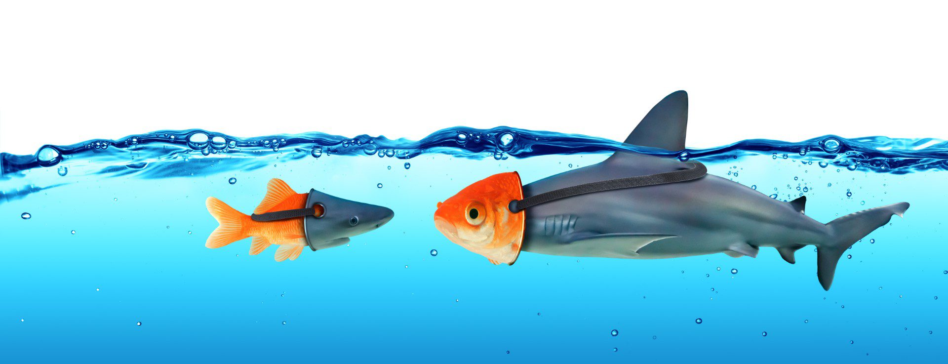 Masquerade and concept of hiding the truth, Shark