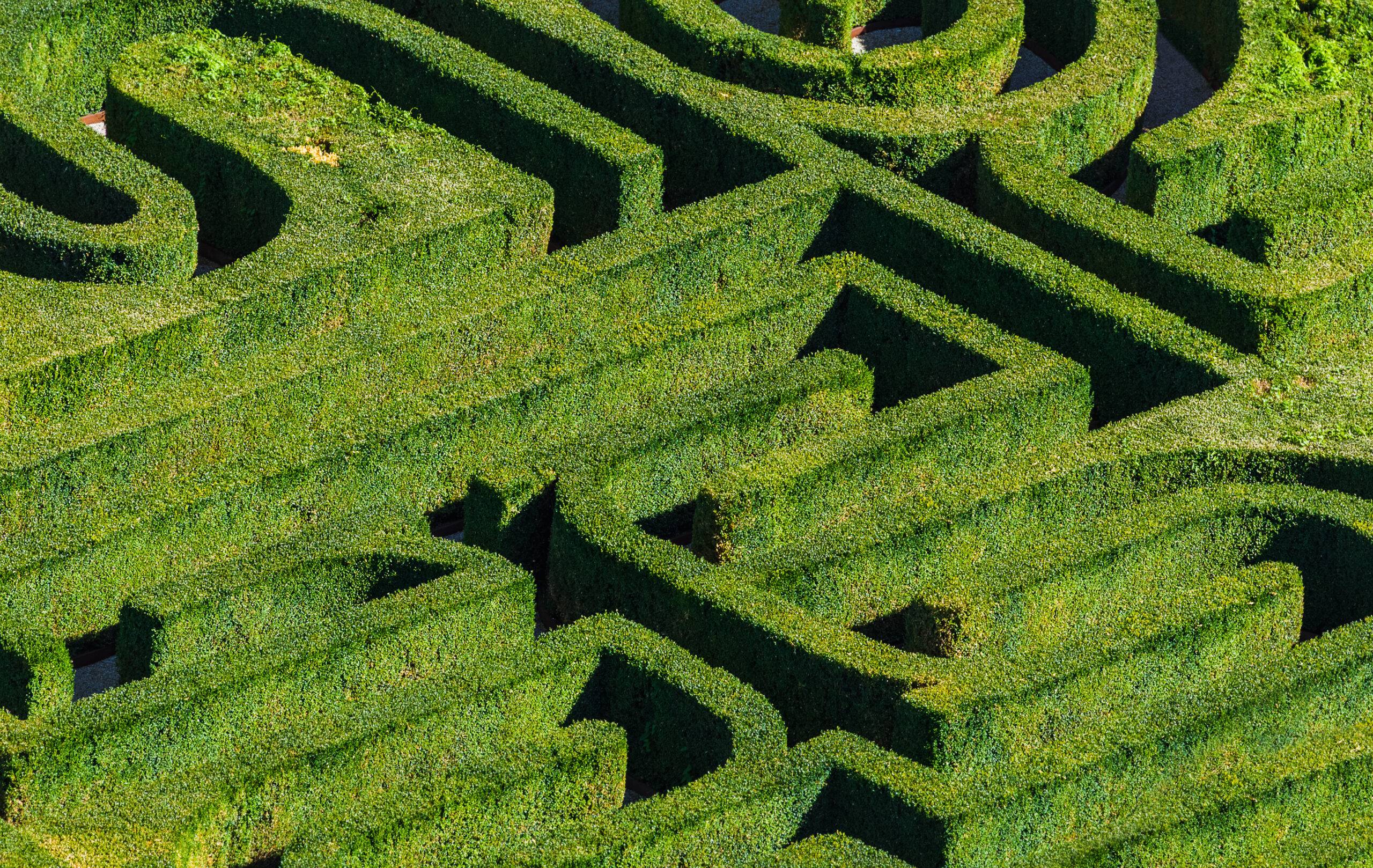 Maze in Venice Italy - nature background