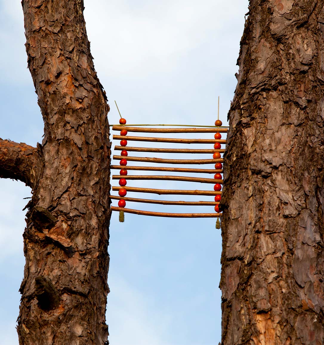 Nature made Ladder held by two trees