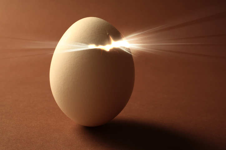Photo of Egg hatching with a subjective purpose.