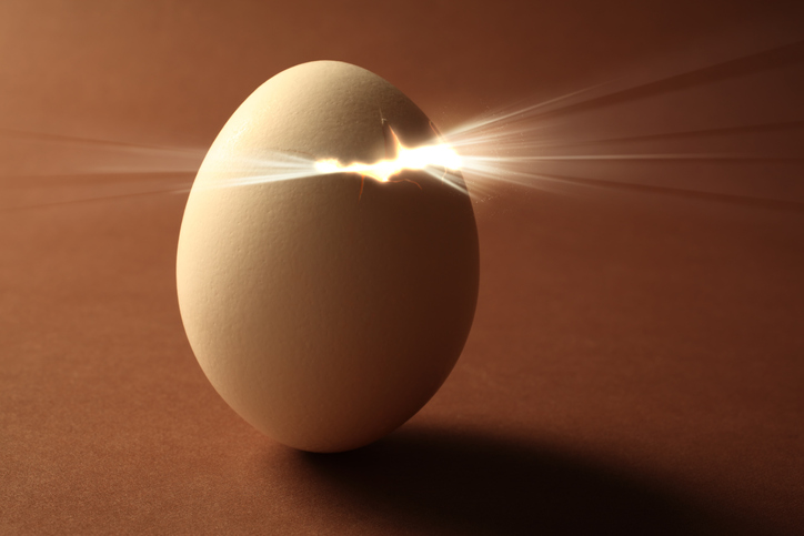 Egg hatching with a subjective purpose.