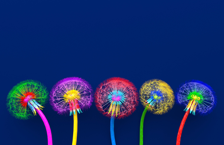 Bouquet of five flowers of blossoming dandelions of unusual colorful colors. Bright multi-colored abstract dandelions on a blue background. Creative conceptual illustration. opy space. 3D render.